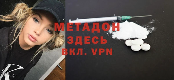 ГАЛЛЮЦИНОГЕННЫЕ ГРИБЫ Дмитриев