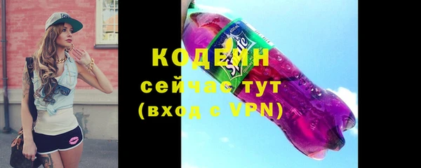 ГАЛЛЮЦИНОГЕННЫЕ ГРИБЫ Дмитриев