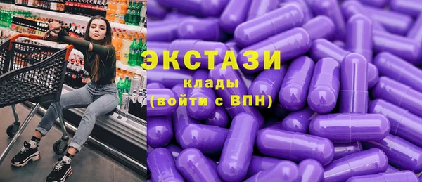 ГАЛЛЮЦИНОГЕННЫЕ ГРИБЫ Дмитриев