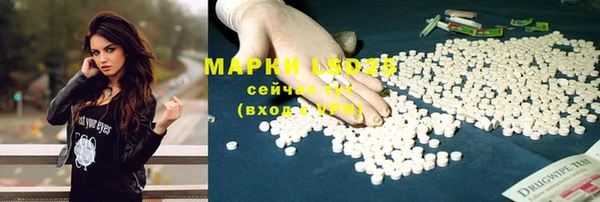 бошки Чердынь
